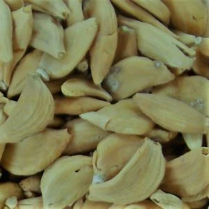 Jinxiang органический чеснок выиграл еще одну награду